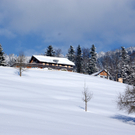 DSC06734.JPG