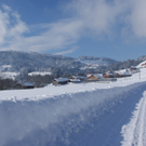 DSC06746.JPG