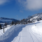DSC06751.JPG