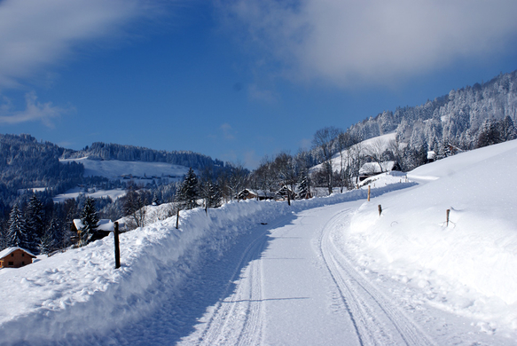 DSC06751.JPG