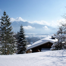 DSC06758.JPG