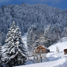 DSC06765.JPG
