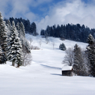 DSC06767.JPG