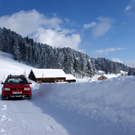 DSC06771.JPG