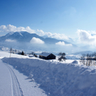 DSC06779.JPG