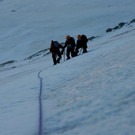 GrCombin_00141 _Large__JPG-1344841810