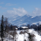 DSC06802.JPG