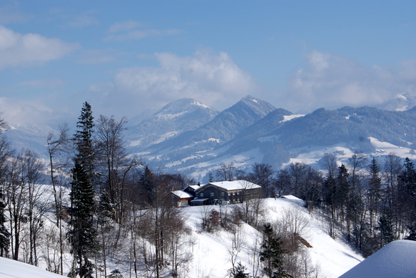 DSC06802.JPG
