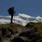 GrCombin_00019 _Large__JPG-1344841851