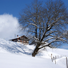 DSC06807.JPG
