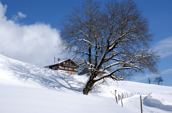 DSC06807.JPG