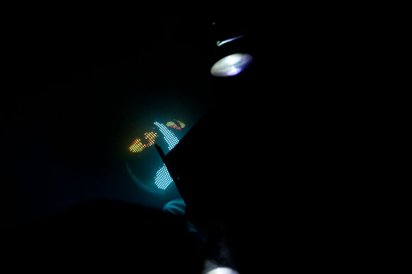 DSC_6401.jpg
