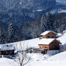 DSC06753.JPG