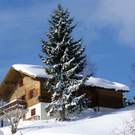 DSC06785.JPG