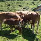 DSC04707_JPG-1344872544