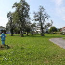 IMG_4110.JPG