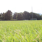 IMG_4187.JPG