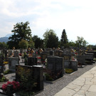 IMG_4207.JPG