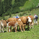 DSC04704_JPG-1344901915