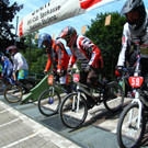 IMG_6301 _Large__JPG-1344923242