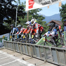 IMG_6109 _Large__JPG-1344923365