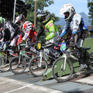 IMG_6083 _Large__JPG-1344923486