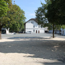 IMG_4261.JPG