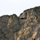 normal_14082012ubergde01001aktivnews_003.jpg