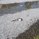 DSC_0001-111.jpg