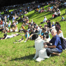 DSCN8001_JPG-1345040653