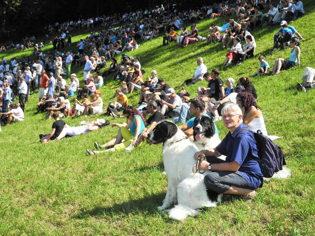 DSCN8001_JPG-1345040653