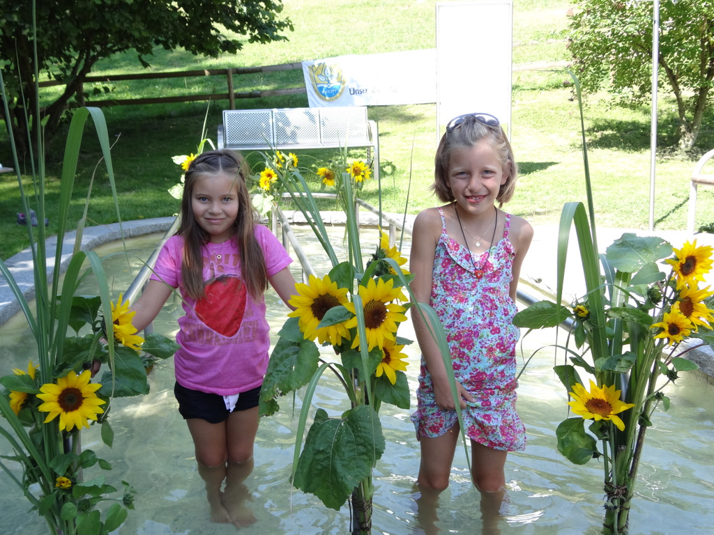 DSC00427_JPG-1345059482