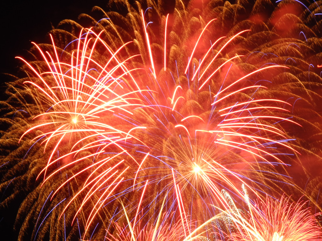 DSCN8117_JPG-1345106391