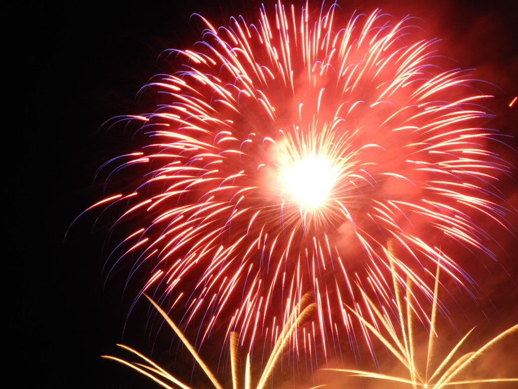 DSCN8121_JPG-1345106495