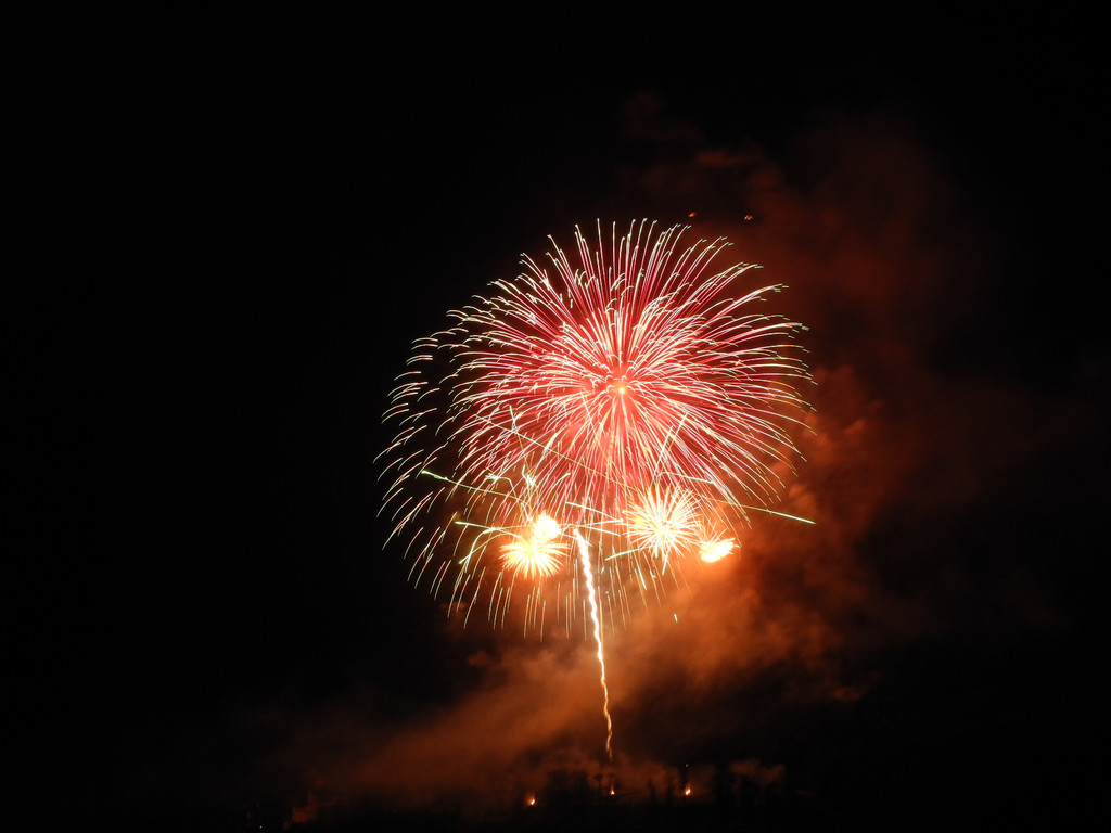 DSCN8140_JPG-1345106726