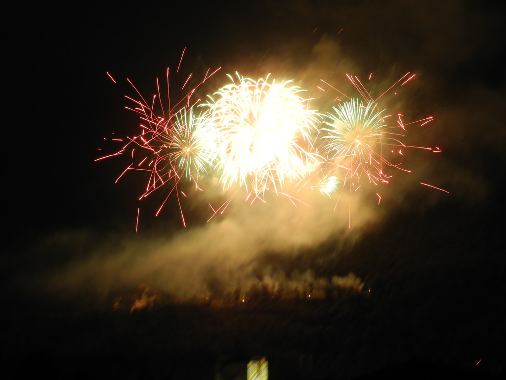 DSCN8149_JPG-1345106780