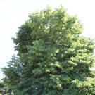 IMG_4759.JPG