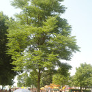 DSC00074.JPG