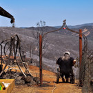 Waldbrände in den USA