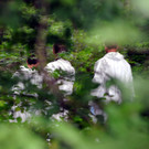 ABD0110-20120816.jpg
