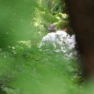 ABD0111-20120816.jpg
