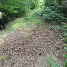 ABD0116-20120816.jpg