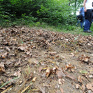 ABD0123-20120816.jpg