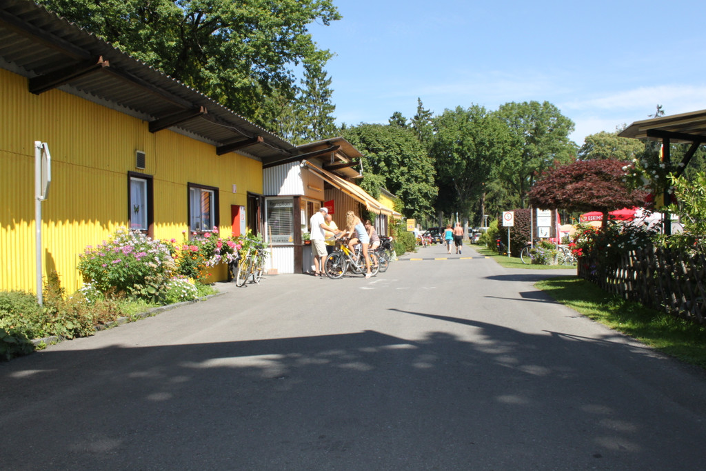 IMG_4577.JPG