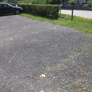 IMG_2860_JPG-1345149313