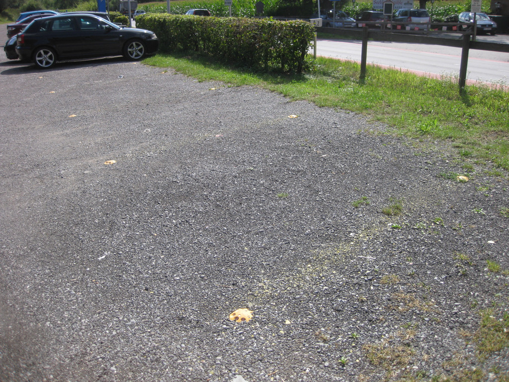 IMG_2860_JPG-1345149313