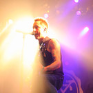 11954992.jpg