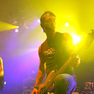 11954990.jpg