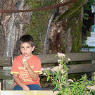 16_8_2012 K__seklatsch Alberschwende 7.jpg