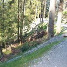 IMG_3313.JPG